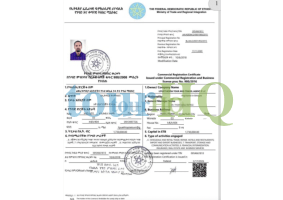 License Image