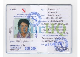 License Image