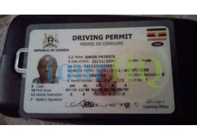 License Image