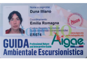 License Image