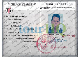 License Image