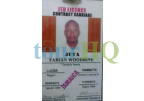 License Image