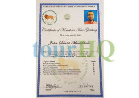 License Image