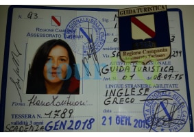 License Image