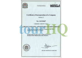 License Image
