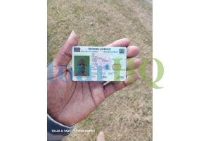 License Image