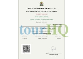 License Image