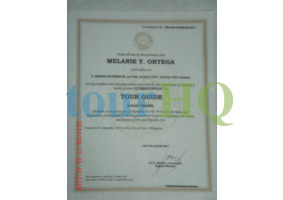 License Image