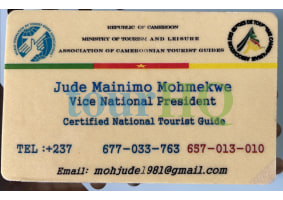 License Image