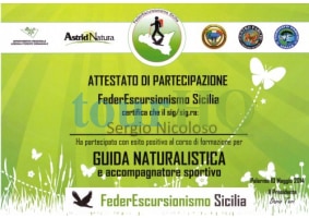 License Image