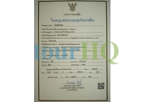 License Image
