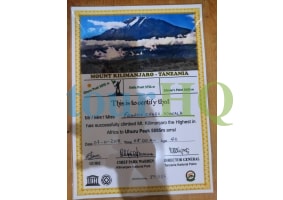 License Image