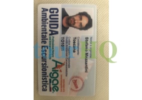 License Image
