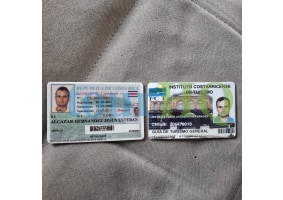 License Image