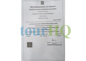 License Image