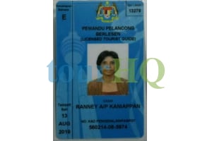 License Image