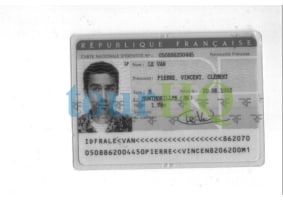 License Image