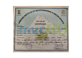 License Image