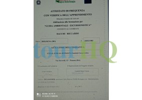 License Image