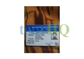 License Image