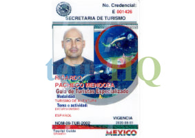 License Image