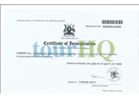 License Image