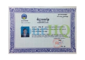 License Image