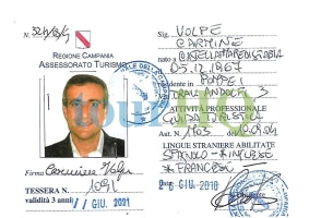 License Image