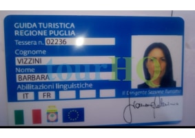 License Image