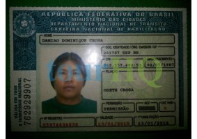 License Image