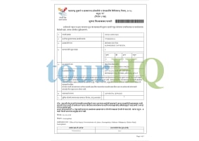 License Image