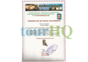 License Image