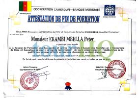 License Image