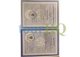 License Image