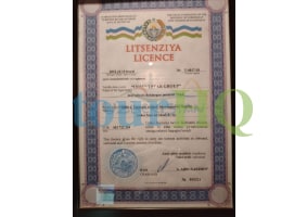 License Image