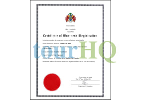 License Image