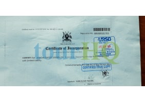 License Image