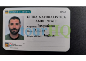 License Image