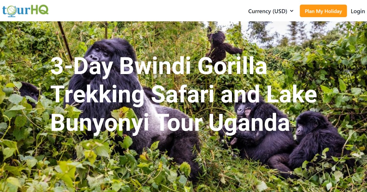 3-Day Bwindi Gorilla Trekking Safari and Lake Bunyonyi Tour Uganda