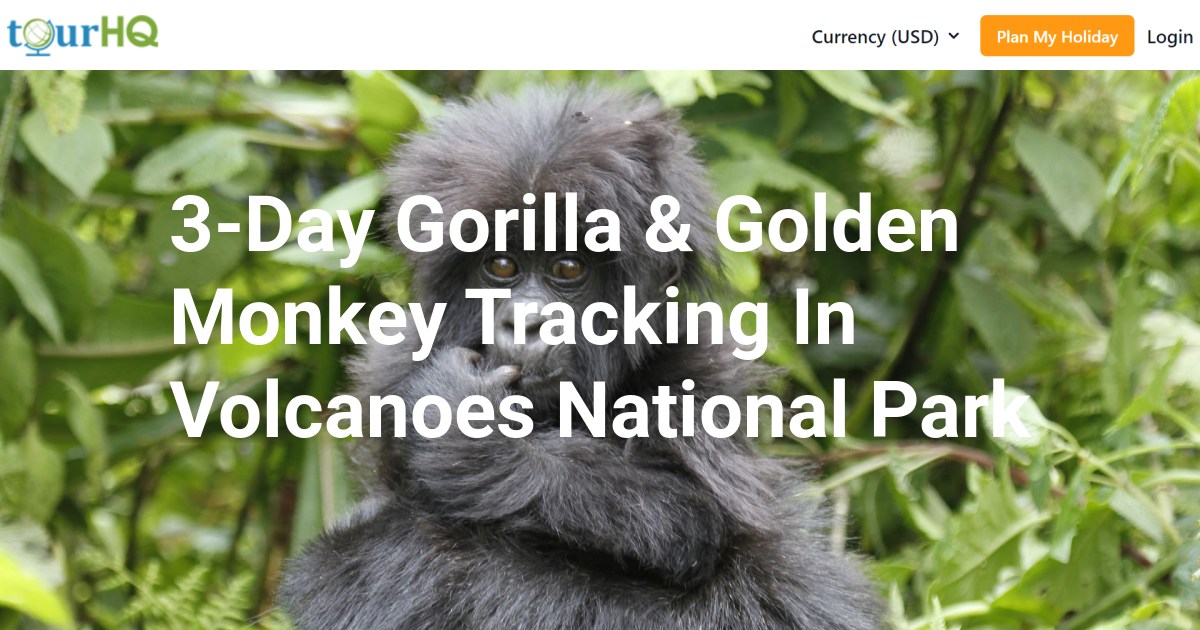 3-Day Gorilla & Golden Monkey Tracking In Volcanoes National Park
