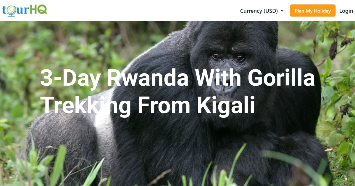 3-Day Rwanda With Gorilla Trekking From Kigali