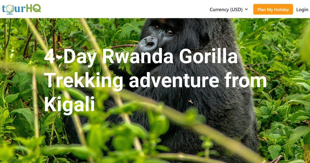4-Day Rwanda Gorilla Trekking adventure from Kigali