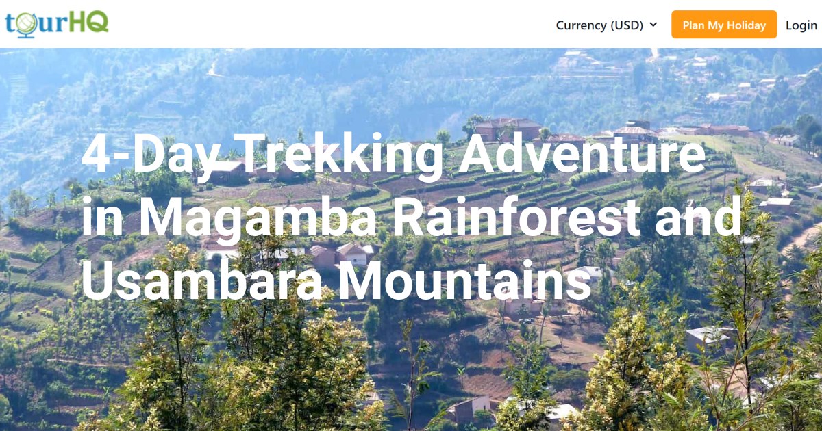 4-Day Trekking Adventure in Magamba Rainforest and Usambara Mountains