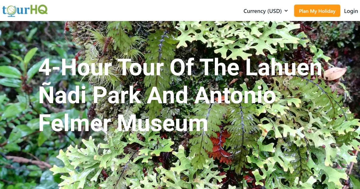 4-Hour Tour Of The Lahuen Ñadi Park And Antonio Felmer Museum