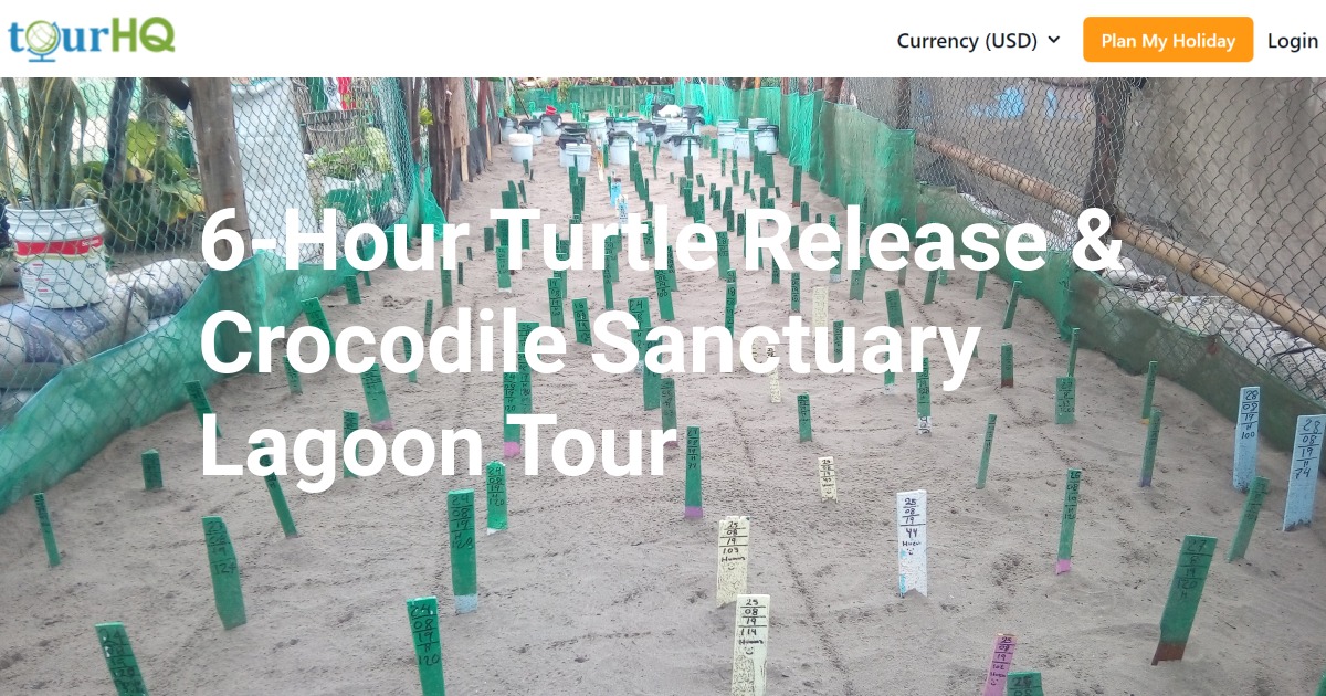 6-Hour Turtle Release & Crocodile Sanctuary Lagoon Tour