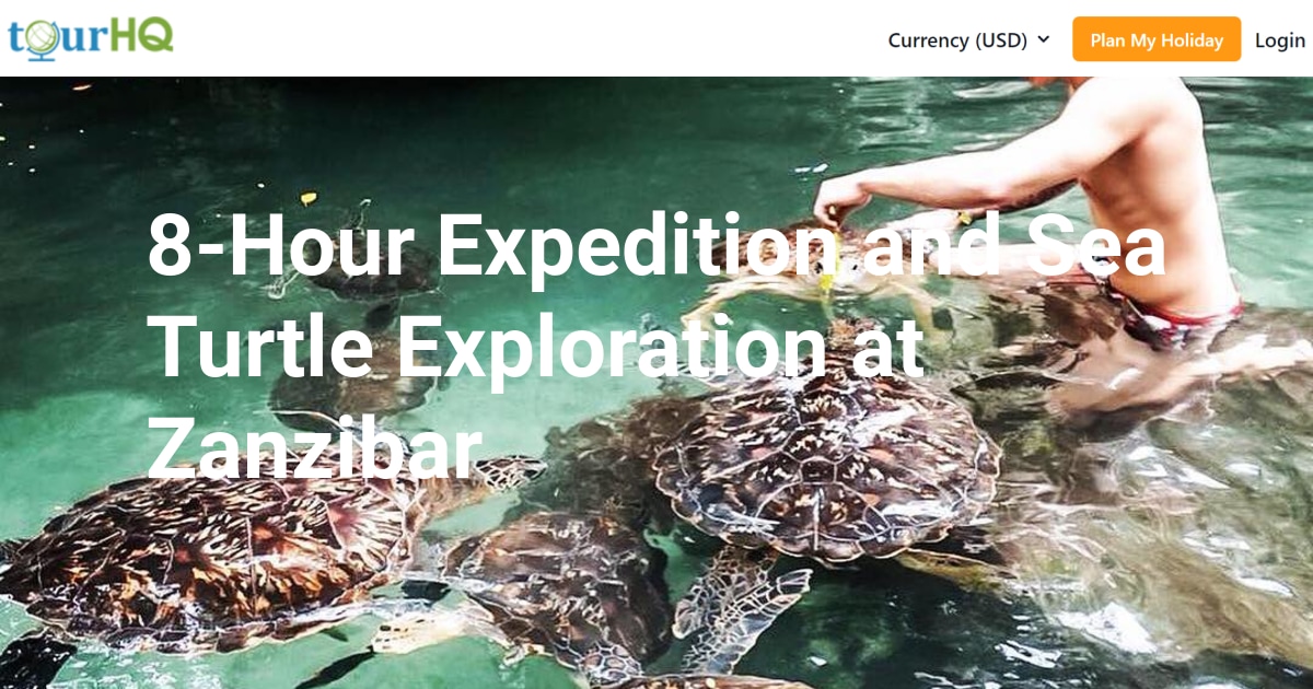 8-Hour Expedition and Sea Turtle Exploration at Zanzibar