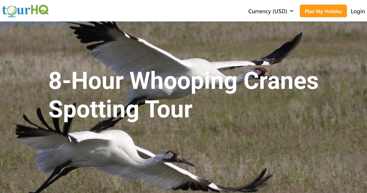 8-Hour Whooping Cranes Spotting Tour