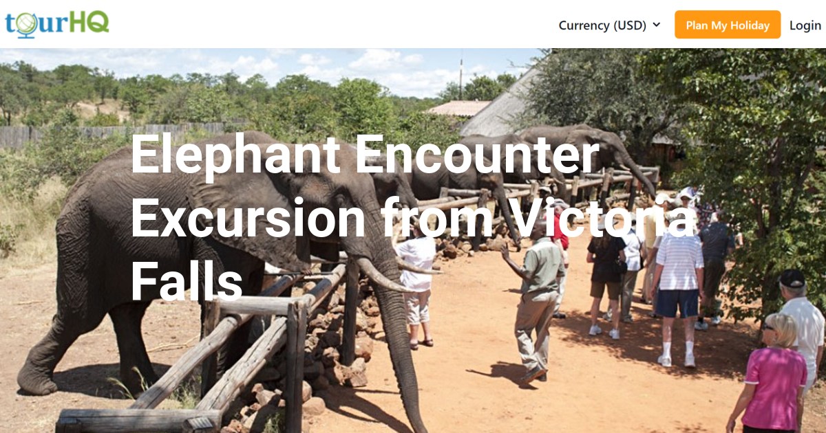 Elephant Encounter Excursion from Victoria Falls