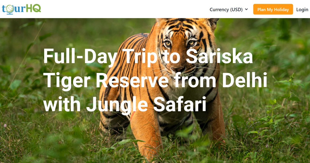 Full-Day Trip to Sariska Tiger Reserve from Delhi with Jungle Safari