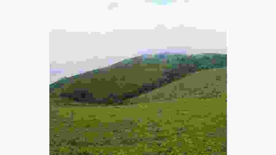 Obudu Cattle Ranch